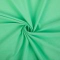 Ткань Gamma Трикотажное полотно Кулирная гладь 40/1 Comp.Penye FULL LYC ФАСОВКА GCM 95\% хлопок, 5\% лайкра 100 х 170 см 16 св.салатовый/lt.green