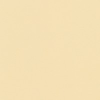 VISTA-ARTISTA Бумага цветная MKO-A4 300 г/м2 A4 21 х 29.7 см 25 шт. 23 кремовый/cream