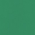 21 х 29.7 см 25 шт. 25 темно-зеленый/dark green