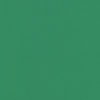 VISTA-ARTISTA Бумага цветная MKO-A4 300 г/м2 A4 21 х 29.7 см 25 шт. 25 темно-зеленый/dark green