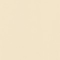 21 х 29.7 см 25 шт. 27 холодный кремовый/cool cream