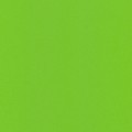21 х 29.7 см 25 шт. 26 зеленый травяной/green grass