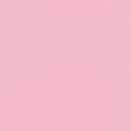 21 х 29.7 см 25 шт. 13 светло-розовый/light pink