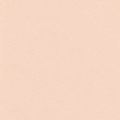 21 х 29.7 см 25 шт. 22 светло-персиковый/light peach
