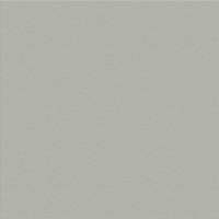 VISTA-ARTISTA Бумага цветная MFO-AA 300 г/м2 50 х 70 см 25 шт. 29 серый/grey