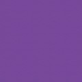 VISTA-ARTISTA Бумага цветная MFO-AA 300 г/м2 50 х 70 см 25 шт. 15 темно-лиловый/dark lilac