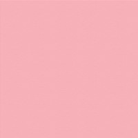 VISTA-ARTISTA Бумага цветная MFO-AA 300 г/м2 50 х 70 см 25 шт. 13 светло-розовый/light pink