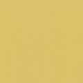 29.7 х 42 см 25 шт. 07 охра/ochre