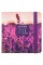 Аква-колор IZO-BK-1212 Скетчбук 120 г/м2 12 х 12 см сшивка 80 л. 04 violet