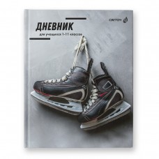 Светоч Дневник школьный 1-11 класс, матовая ламинация, твердый переплет, 40Д2 A5+ 40 л. 32 шт. сшивка 65 г/кв.м Ледяные трассы 00973