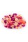 Бусина Zlatka MIX пластик BWMX 100 г №01 розовый