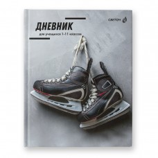 Светоч Дневник школьный 1-11 класс, матовая ламинация, твердый переплет, 40Д2 A5 40 л. 4 шт. сшивка 65 г/кв.м Ледяные трассы 00973