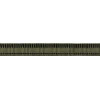 Gamma С 2229 (С 3221,3281,3497) Лента брючная 17 мм 50 м №11 св.оливковый/lt.olive