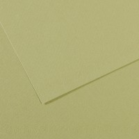 Canson Бумага для пастели Mi-Teintes 160 г/м2 75 х 110 см лист 10 л. №480 Зеленый светлый C31032S149