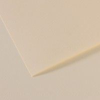 Canson Бумага для пастели Mi-Teintes 160 г/м2 75 х 110 см лист 10 л. №110 Лилия C31032S156