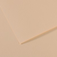 Canson Бумага для пастели Mi-Teintes 160 г/м2 75 х 110 см лист 10 л. №112 Скорлупа C31032S158