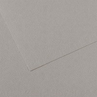 Canson Бумага для пастели Mi-Teintes 160 г/м2 75 х 110 см лист 10 л. №122 Серая фланель C31032S160