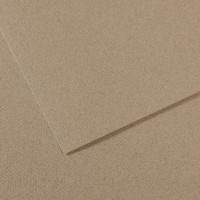 Canson Бумага для пастели Mi-Teintes 160 г/м2 75 х 110 см лист 10 л. №429 Серый фетр C31033S162