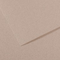 Canson Бумага для пастели Mi-Teintes 160 г/м2 75 х 110 см лист 10 л. №426 Серый лунный камень C31033S164