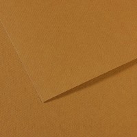 Canson Бумага для пастели Mi-Teintes 160 г/м2 75 х 110 см лист 10 л. №336 Коричневый песчаный C31032S143