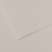 Canson Бумага для пастели Mi-Teintes 160 г/м2 A4 21 х 29.7 см лист 25 л. №120 Жемчужно-серый C31032S009