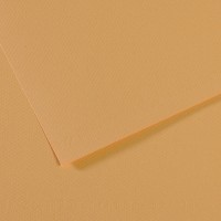 Canson Бумага для пастели Mi-Teintes 160 г/м2 A4 21 х 29.7 см лист 25 л. №340 Бежевый светлый C31032S013