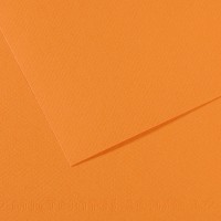 Canson Бумага для пастели Mi-Teintes 160 г/м2 A4 21 х 29.7 см лист 25 л. №384 Буйволовая кожа C31032S017