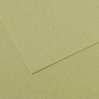 Canson Бумага для пастели Mi-Teintes 160 г/м2 A4 21 х 29.7 см лист 25 л. №480 Зеленый светлый C31032S022