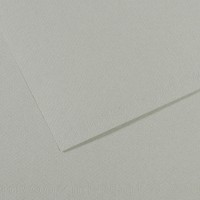 Canson Бумага для пастели Mi-Teintes 160 г/м2 A4 21 х 29.7 см лист 25 л. №354 Серое небо C31033S032