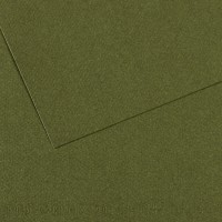 Canson Бумага для пастели Mi-Teintes 160 г/м2 A4 21 х 29.7 см лист 25 л. №448 Зеленый плющ C31033S036
