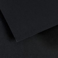 Canson Бумага для пастели Mi-Teintes 160 г/м2 A4 21 х 29.7 см лист 25 л. №425 Черный C31036S038