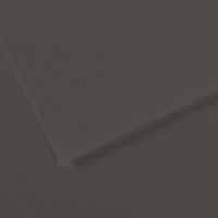 Canson Бумага для пастели Mi-Teintes 160 г/м2 A4 21 х 29.7 см лист 25 л. №184 Угольный C31032S045