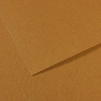 Canson Бумага для пастели Mi-Teintes 160 г/м2 50 х 65 см лист 10 л. №336 Коричневый песчаный C31032S097