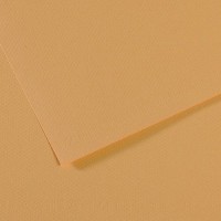 Canson Бумага для пастели Mi-Teintes 160 г/м2 50 х 65 см лист 10 л. №340 Бежевый светлый C31032S098