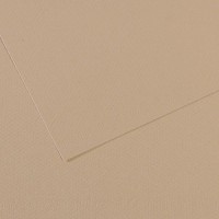 Canson Бумага для пастели Mi-Teintes 160 г/м2 50 х 65 см лист 10 л. №343 Серо-бежевый C31032S099