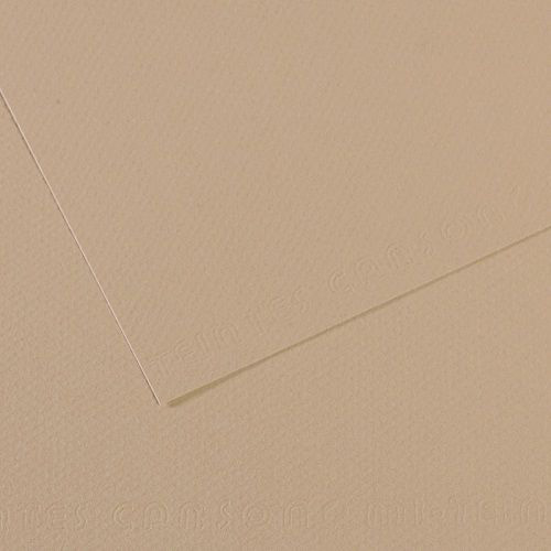 Canson Бумага для пастели Mi-Teintes 160 г/м2 50 х 65 см лист 10 л. №343 Серо-бежевый C31032S099