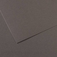 Canson Бумага для пастели Mi-Teintes 160 г/м2 50 х 65 см лист 10 л. №352 Розовая орхидея C31032S101