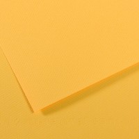 Canson Бумага для пастели Mi-Teintes 160 г/м2 50 х 65 см лист 10 л. №400 Желтый канареечный C31032S103