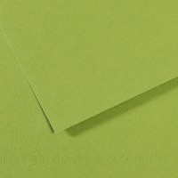 Canson Бумага для пастели Mi-Teintes 160 г/м2 50 х 65 см лист 10 л. №475 Зеленое яблоко C31032S106