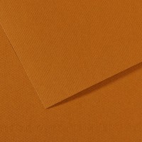 Canson Бумага для пастели Mi-Teintes 160 г/м2 50 х 65 см лист 10 л. №502 Коричневый Гавана C31032S109