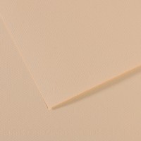 Canson Бумага для пастели Mi-Teintes 160 г/м2 50 х 65 см лист 10 л. №112 Скорлупа C31032S093