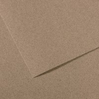 Canson Бумага для пастели Mi-Teintes 160 г/м2 50 х 65 см лист 10 л. №431 Серый стальной C31033S120