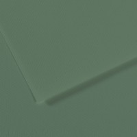 Canson Бумага для пастели Mi-Teintes 160 г/м2 50 х 65 см лист 10 л. №190 Зеленый шалфей C31032S128