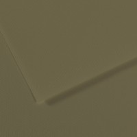Canson Бумага для пастели Mi-Teintes 160 г/м2 50 х 65 см лист 10 л. №191 Оливковый C31032S129