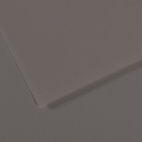 Canson Бумага для пастели Mi-Teintes 160 г/м2 50 х 65 см лист 10 л. №185 Графитовый C31032S131
