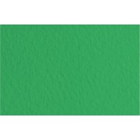 Fabriano Бумага для пастели Tiziano 160 г/м2 A3 29.7 х 42 см лист 25 л. Prato/Травяной 72942112