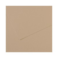 Canson Бумага для пастели Mi-Teintes 160 г/м2 75 х 110 см лист 10 л. №343 Серо-бежевый C31032S145