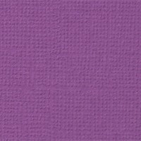 Бумага для скрапбукинга Mr.Painter PST 216 г/кв.м 30.5 x 30.5 см 10 шт. 13 Пряная лаванда (сиреневый)