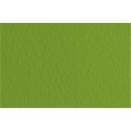 Fabriano Бумага для пастели Tiziano 160 г/м2 A1+ 70 х 100 см лист 10 л. Pistacchio/Фисташковый 52811043
