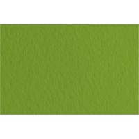 Fabriano Бумага для пастели Tiziano 160 г/м2 A1+ 70 х 100 см лист 10 л. Pistacchio/Фисташковый 52811043